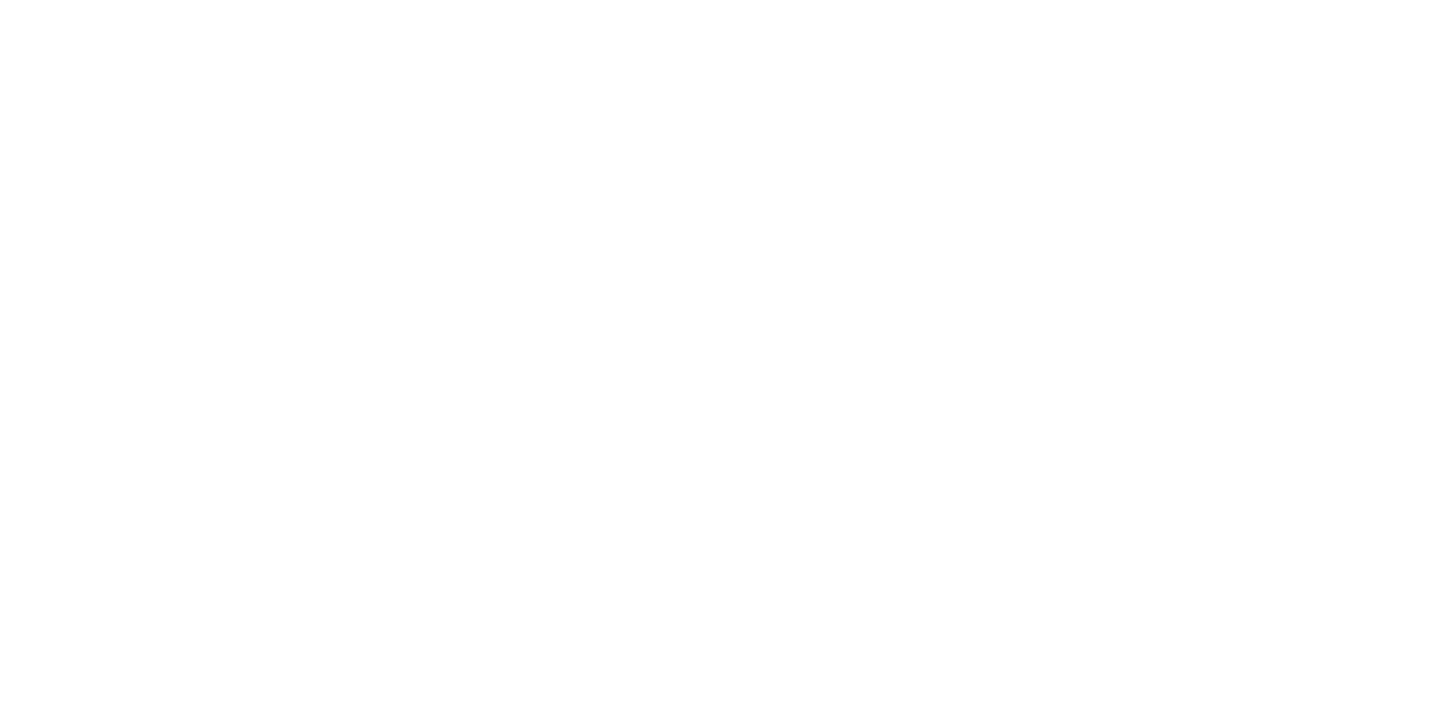 SONI'S HairZstück